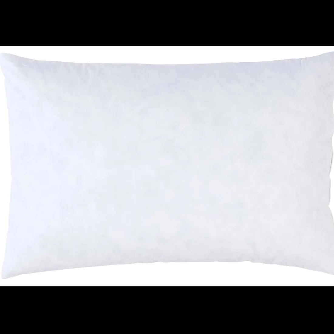 Interieur de coussin Plumes Blanc 60 x 40