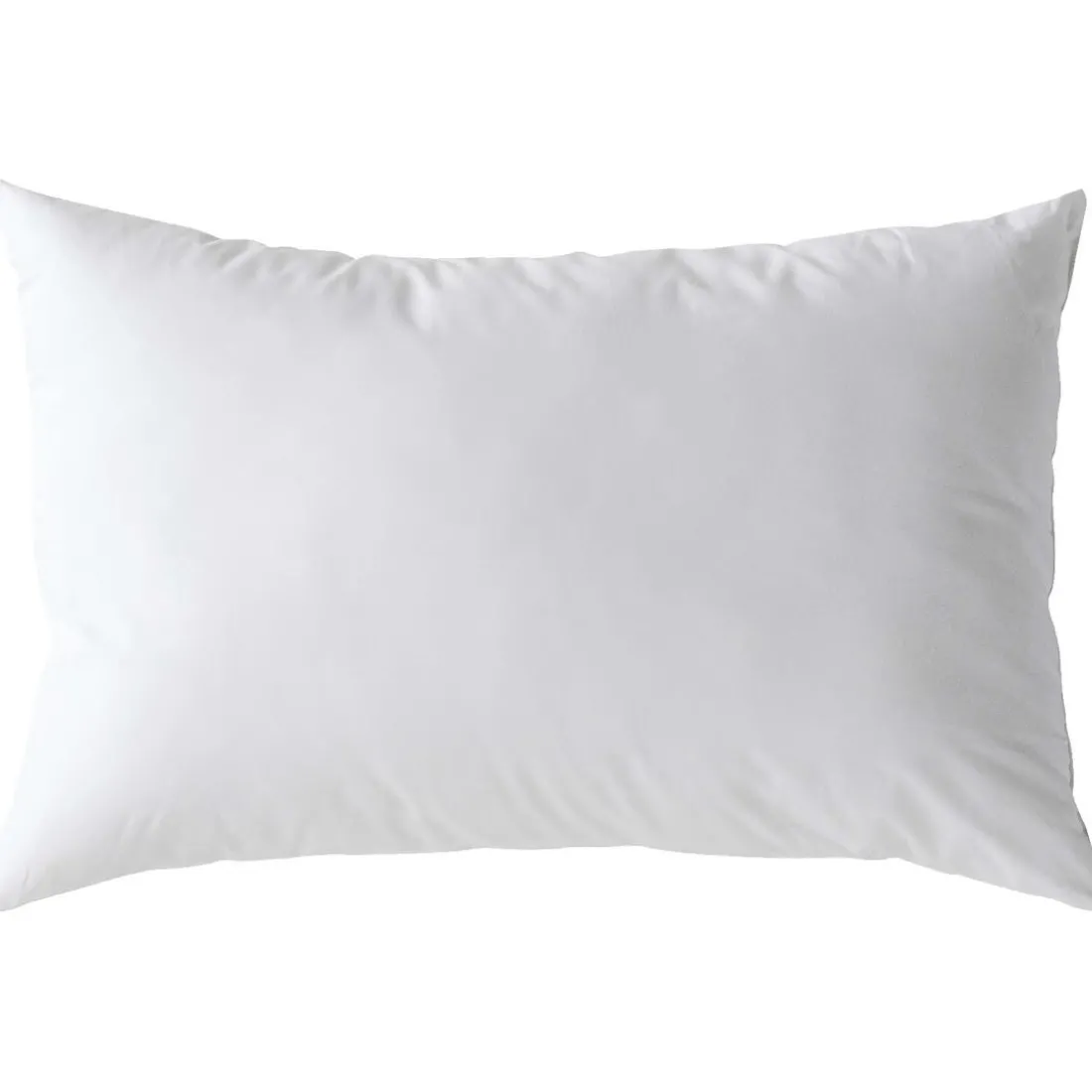 Interieur de coussin Polyester Blanc