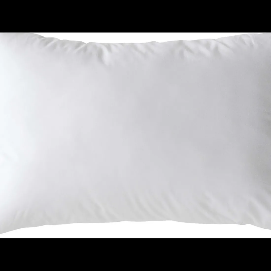 Interieur de coussin Polyester Blanc