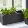 Jardinière herbes aromatiques en résine tressée