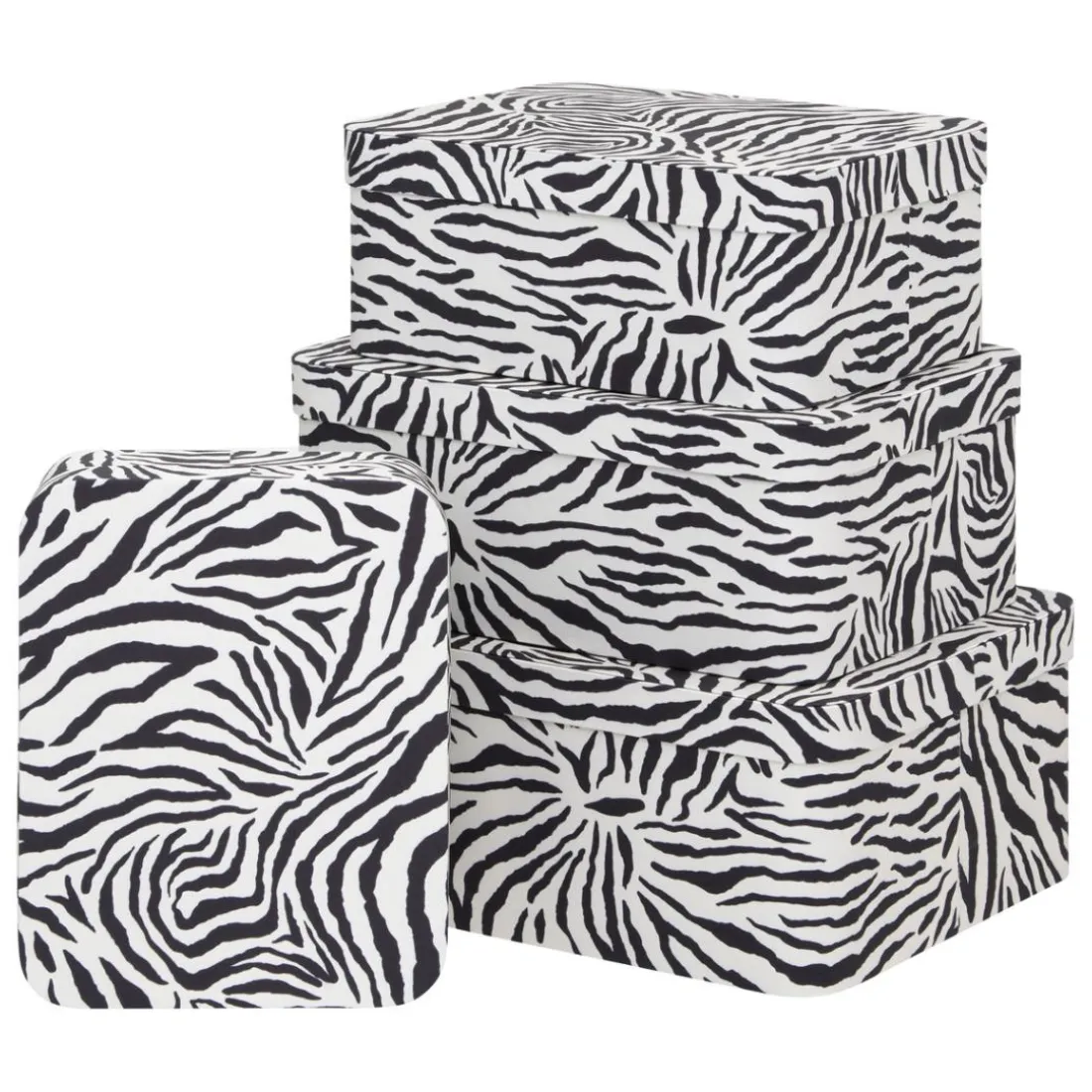 Lot de 4 boîtes Polybox
