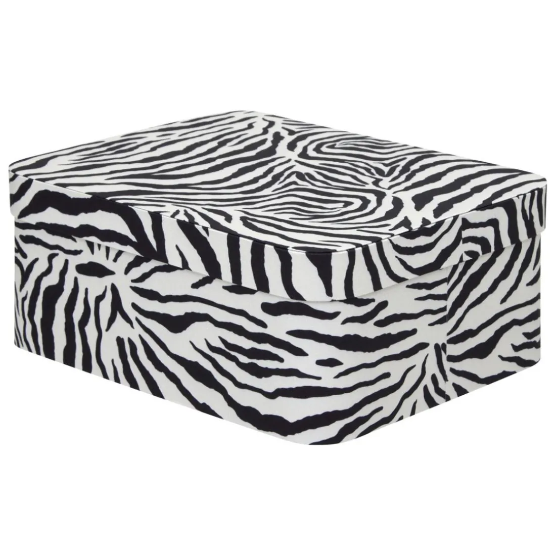 Lot de 4 boîtes Polybox