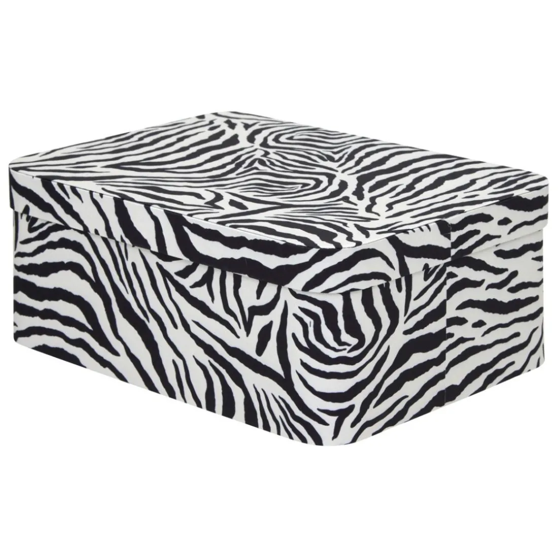 Lot de 4 boîtes Polybox