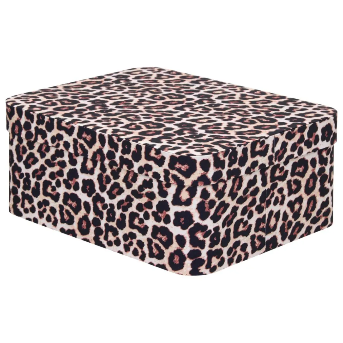 Lot de 4 boîtes Polybox Beige