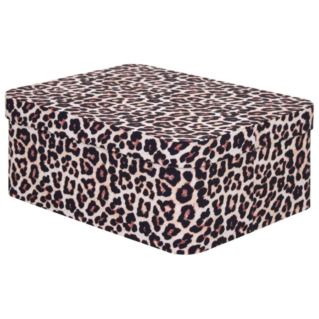 Lot de 4 boîtes Polybox Beige