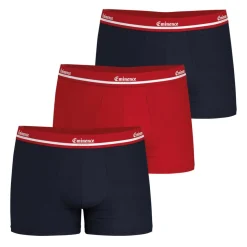 Lot de 3 boxers homme Eminence Exclusivité web multicolore en coton