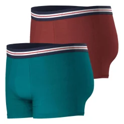 Lot de 2 boxers homme Fait en France Eminence multicolore