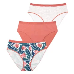 Lot de 3 culottes femme Ecopack Mode Athena rose en coton