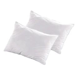 Lot de 2 oreillers Luxotel