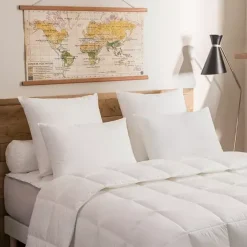 Lot de 2 Oreillers Moelleux Micrococoon