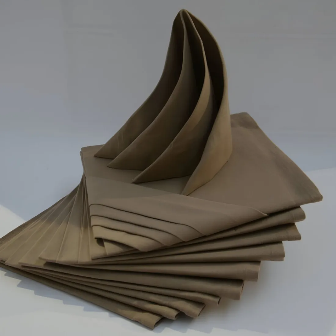 Lot de 12 Serviettes ARC EN CIEL Taupe 44 x 44 cm