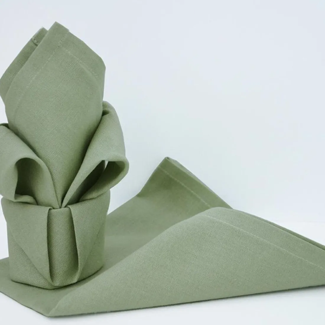 Lot de 12 serviettes de table ARC EN CIEL Céladon 44 x 44 cm