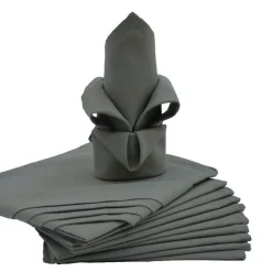 Lot de 12 serviettes de table ARC EN CIEL Gris 44 x 44 cm