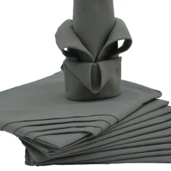 Lot de 12 serviettes de table ARC EN CIEL Gris 44 x 44 cm