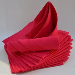 Lot de 12 serviettes de table ARC EN CIEL Azalée 44 x 44 cm