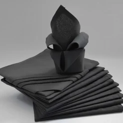 Lot de 12 serviettes de table ARC EN CIEL anthracite 44 x 44 cm