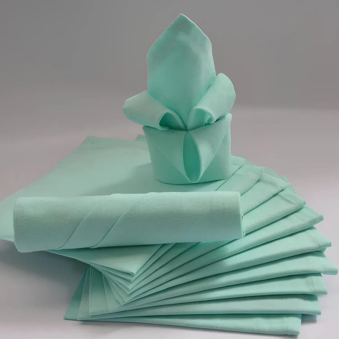 Lot de 12 serviettes de table ARC EN CIEL vert d'eau 44 x 44 cm