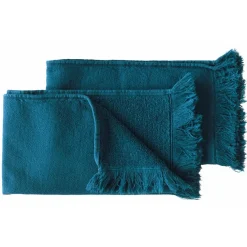 Lot de 2 serviettes invités LUNA Orage 50 x 30