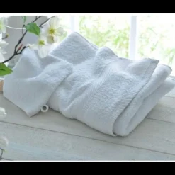 Lot de 2 serviettes unies lauréat 450g/m2