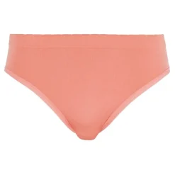Lot de 2 slips - Rose Lantana + Violet