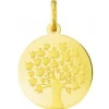 Médaille Argyor 248400221 H1.8 cm - Or Jaune 750/1000