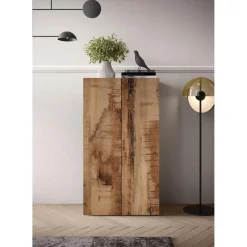 Meuble de stockage 2 portes multifonctionnelle