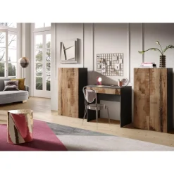 Meuble de stockage 2 portes multifonctionnelle