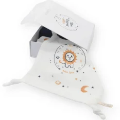 Mon Coffret Accessoire Astro Lion