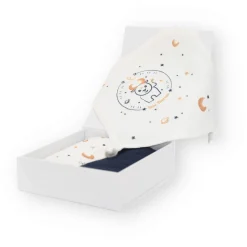 Mon Coffret Accessoire Astro Taureau