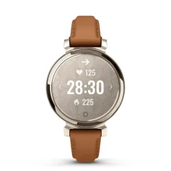 Montre Connectée 010-02839-02 - Garmin Lily® 2 Classic