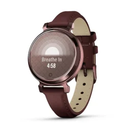 Montre Connectée 010-02839-03 - Garmin Lily® 2 Classic