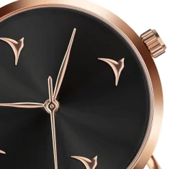 Montre ECE-3214 - Emily Westwood