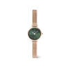 Montre Femme Daniel Wellington Petite Mini-DW00100742
