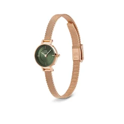 Montre Femme Daniel Wellington Petite Mini-DW00100742