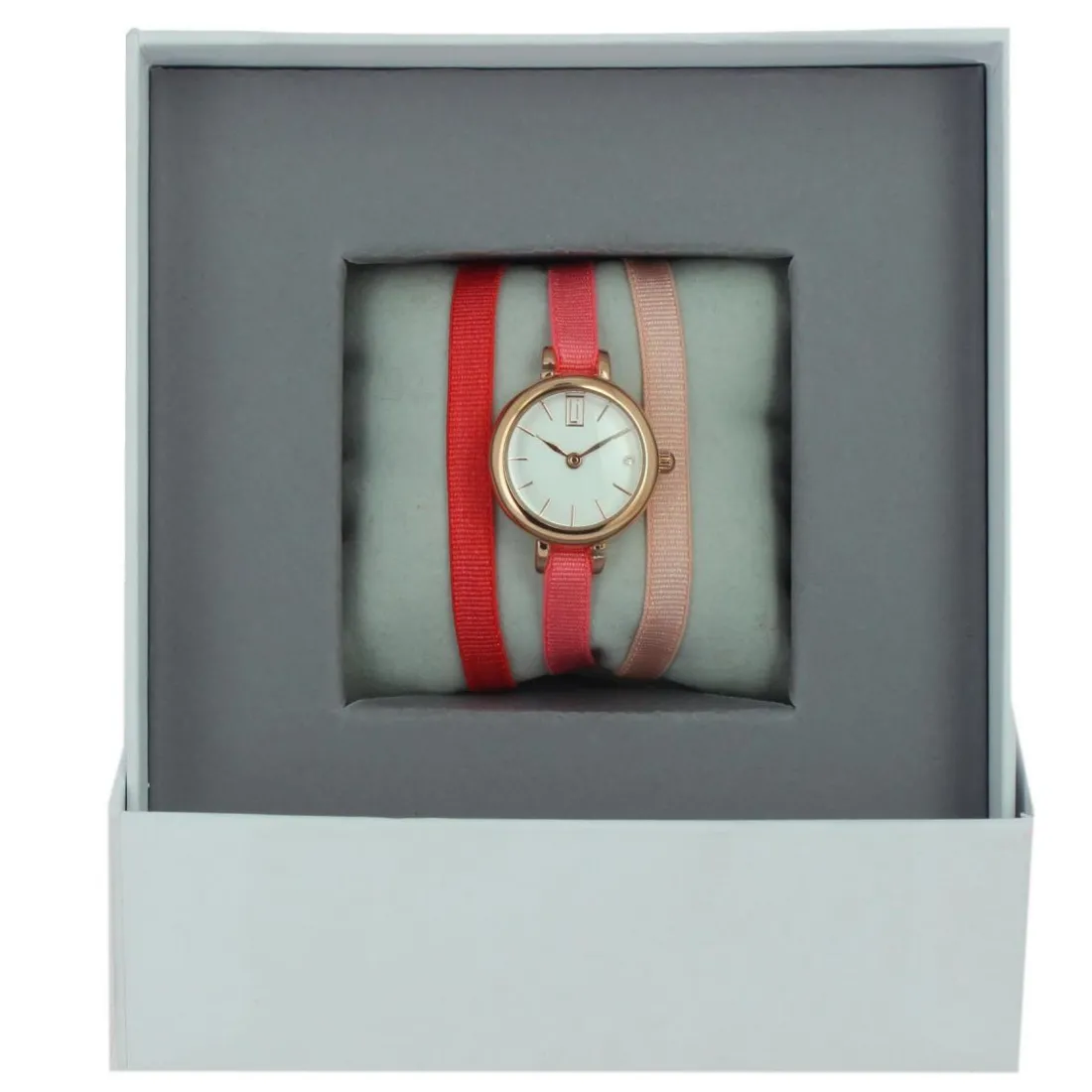 Montre Les Interchangeables A56978 Femme