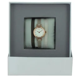 Montre Les Interchangeables A56982 Femme