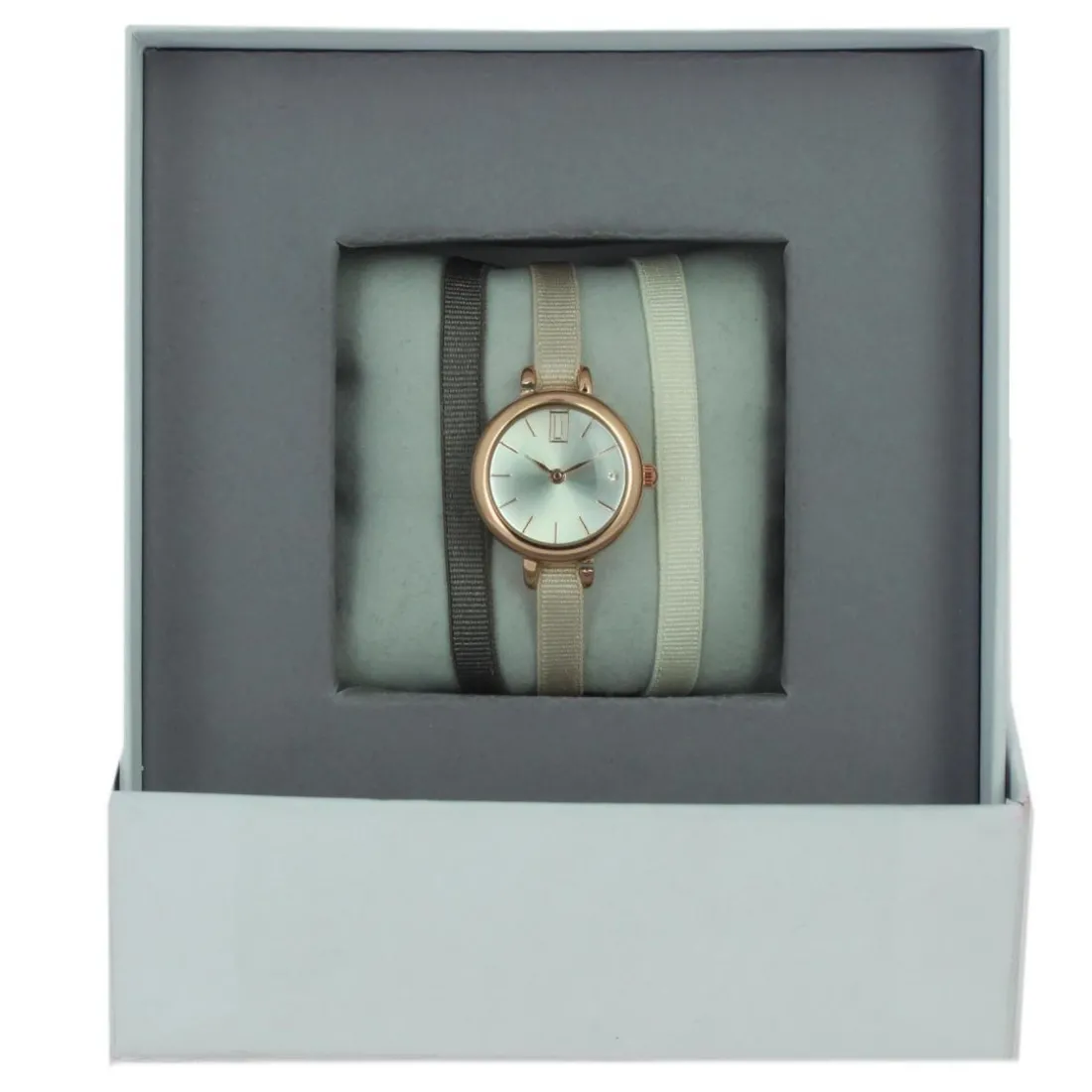 Montre Les Interchangeables A56921 Femme
