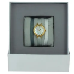 Montre Les Interchangeables A56803 Femme