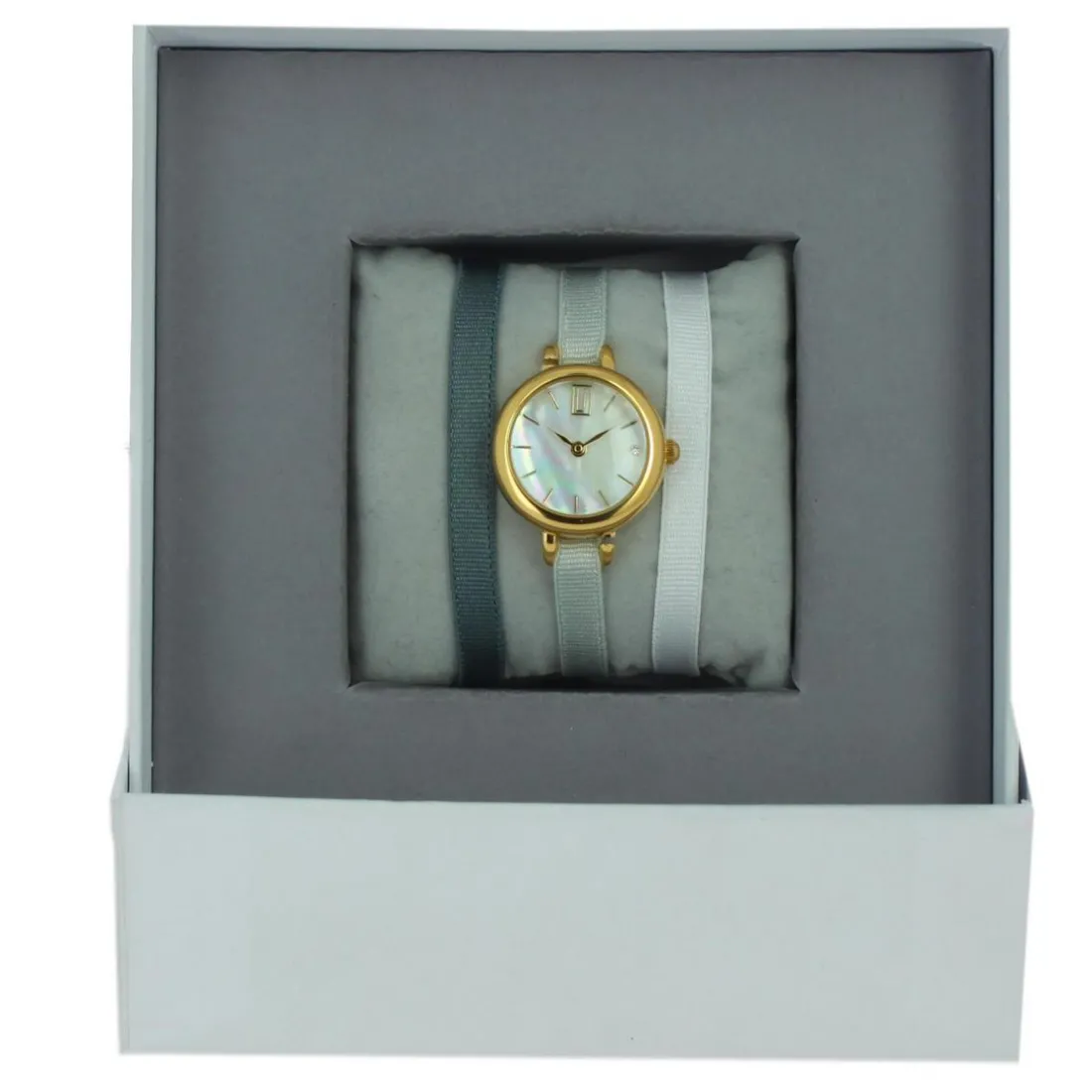 Montre Les Interchangeables A56803 Femme