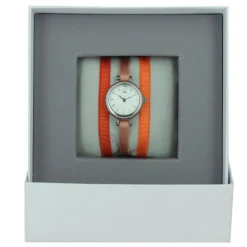 Montre Les Interchangeables A57003 Femme