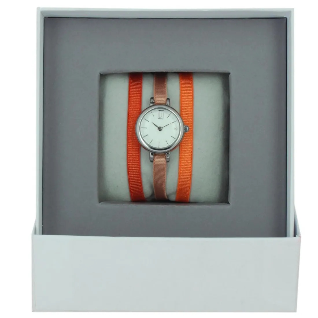 Montre Les Interchangeables A57003 Femme