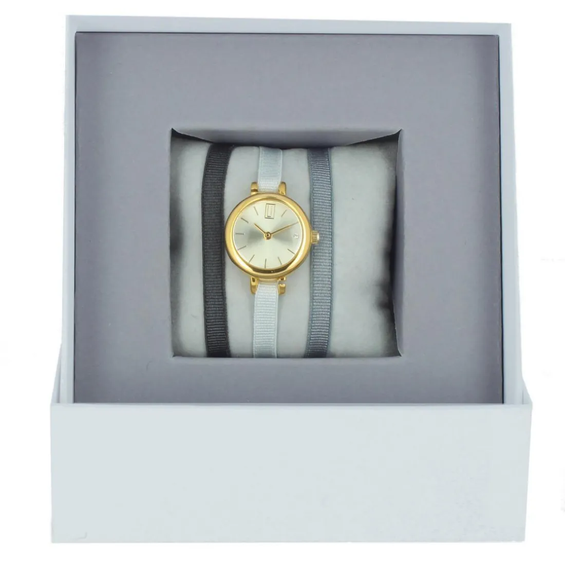 Montre Les Interchangeables A56731 Femme