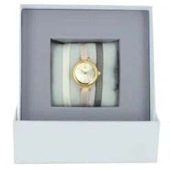 Montre Les Interchangeables A56732 Femme