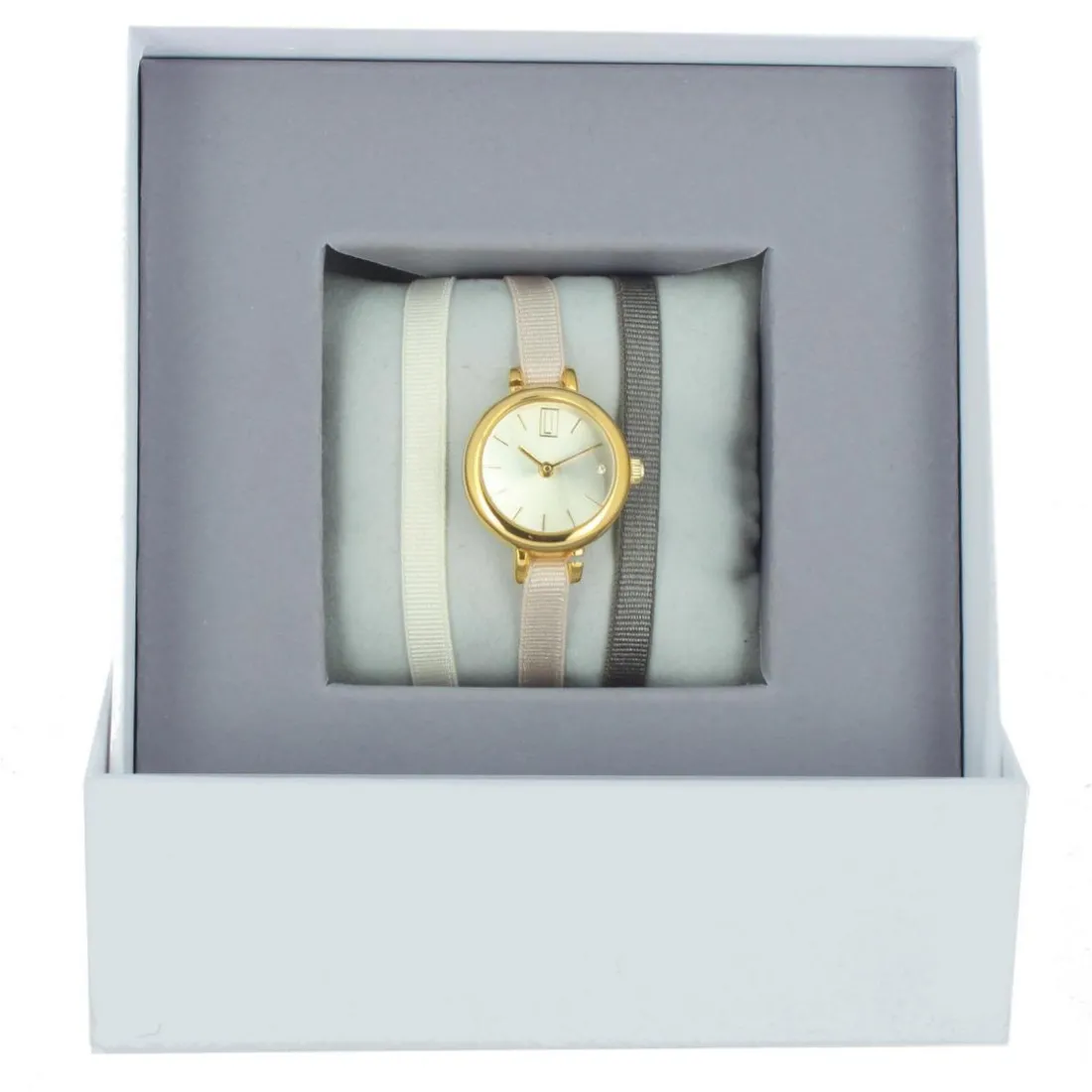 Montre Les Interchangeables A56732 Femme