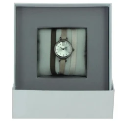 Montre Les Interchangeables A56950 Femme