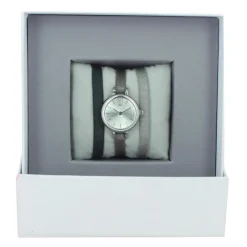 Montre Les Interchangeables A56933 Femme