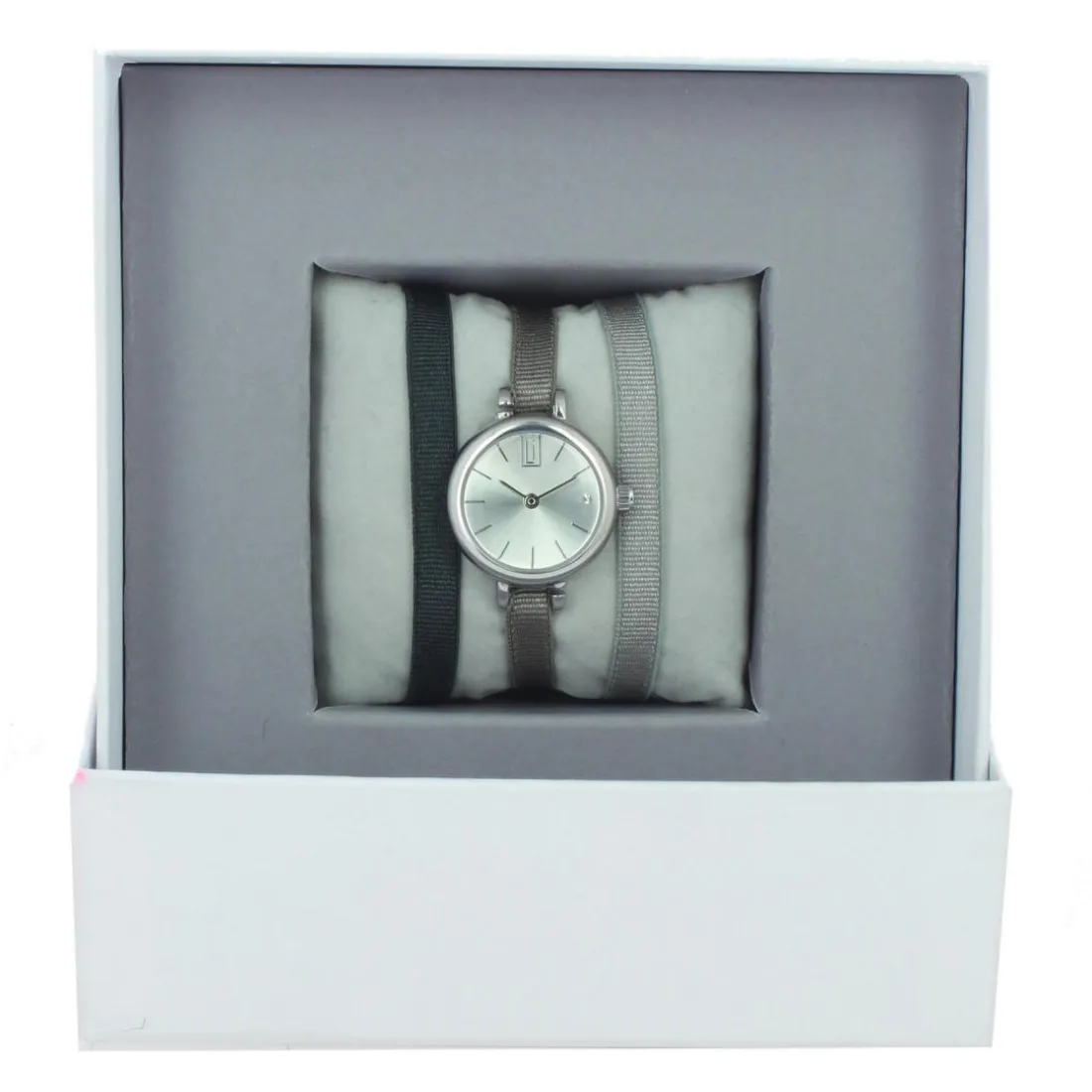 Montre Les Interchangeables A56933 Femme