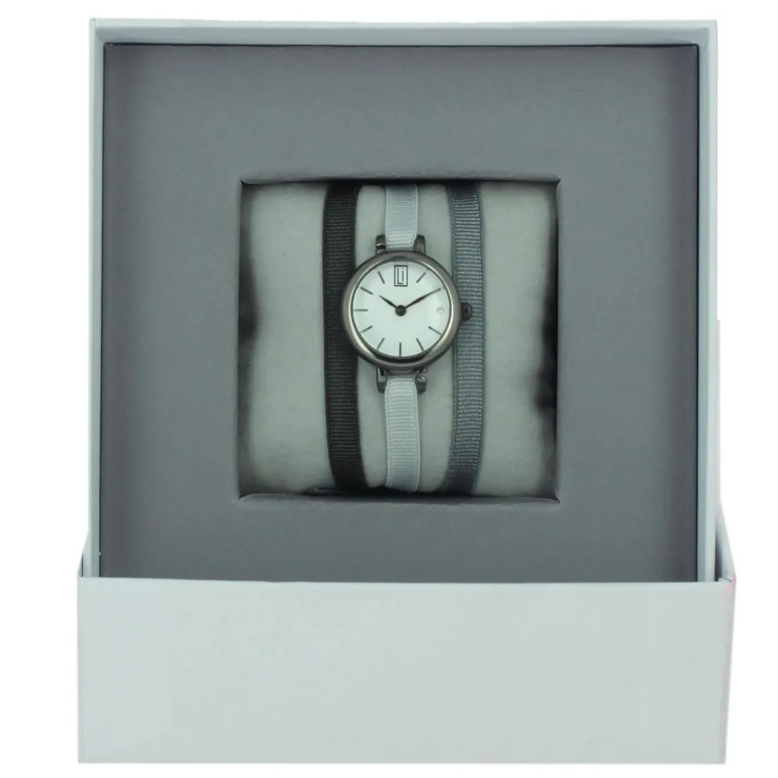 Montre Les Interchangeables A57017 Femme