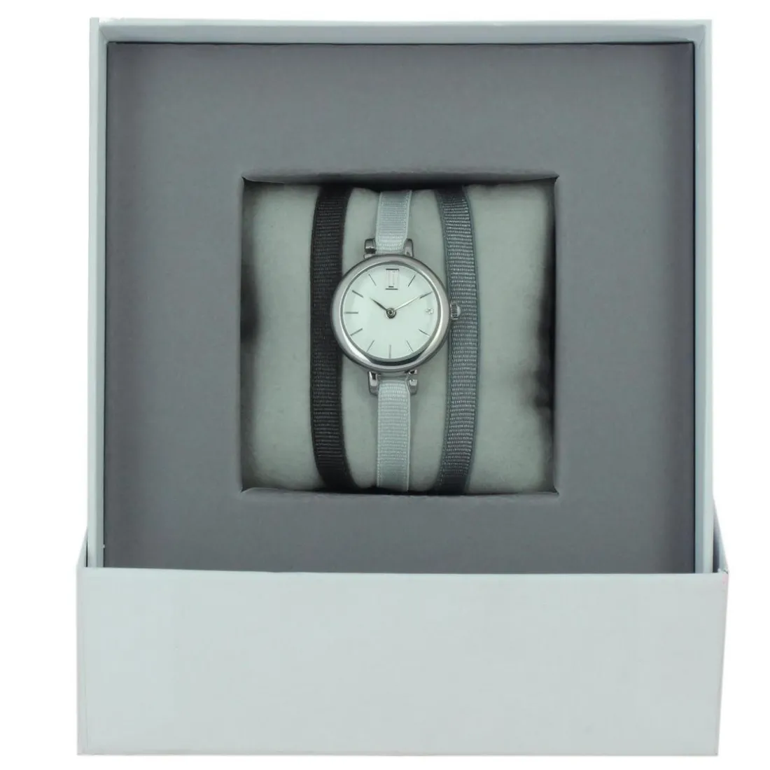 Montre Les Interchangeables A57000 Femme