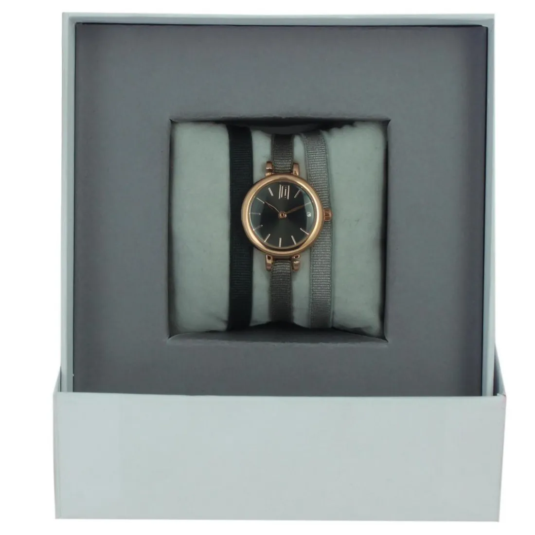 Montre Les Interchangeables A56760 Femme